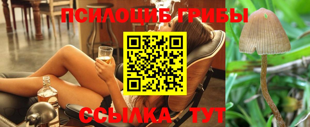 Галлюциногенные грибы Psilocybine cubensis Рузаевка
